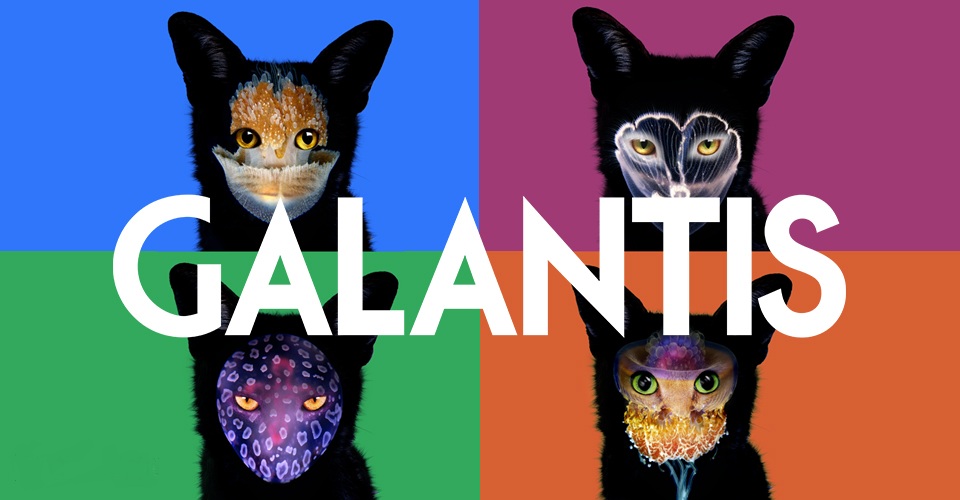 Stop What You’re Doing and Listen to&nbsp;Galantis