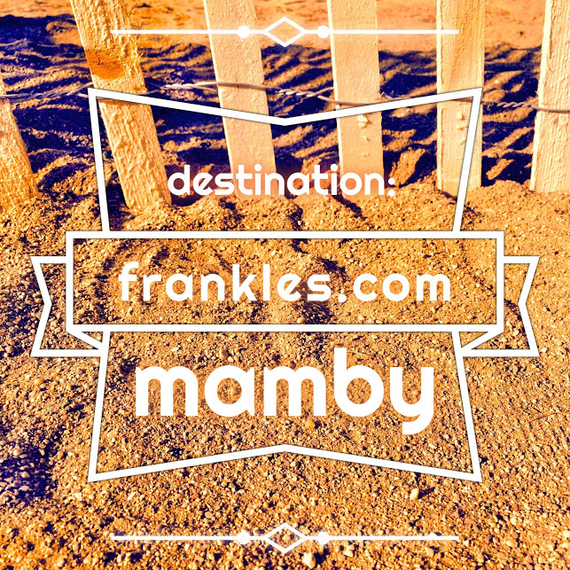 Mamby on the Beach&nbsp;2015