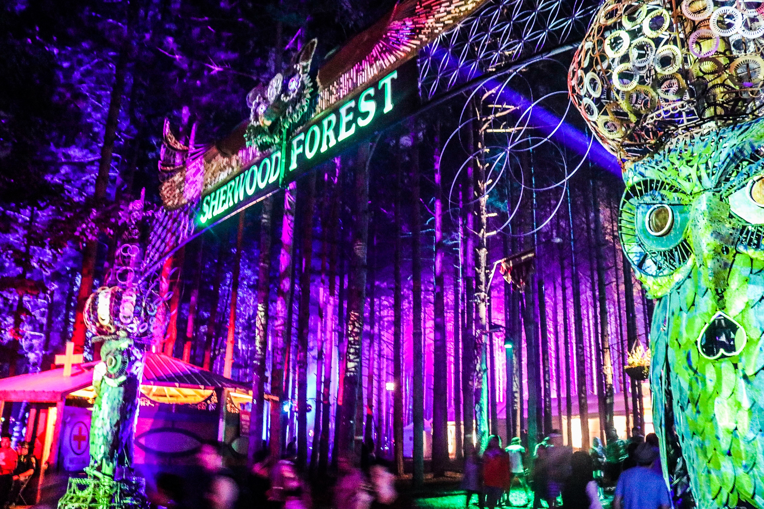 Electric Forest Top 5 Must See's – frankles